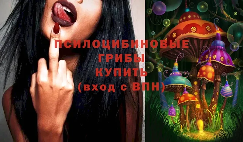 дарнет шоп  Аргун  Галлюциногенные грибы Magic Shrooms 